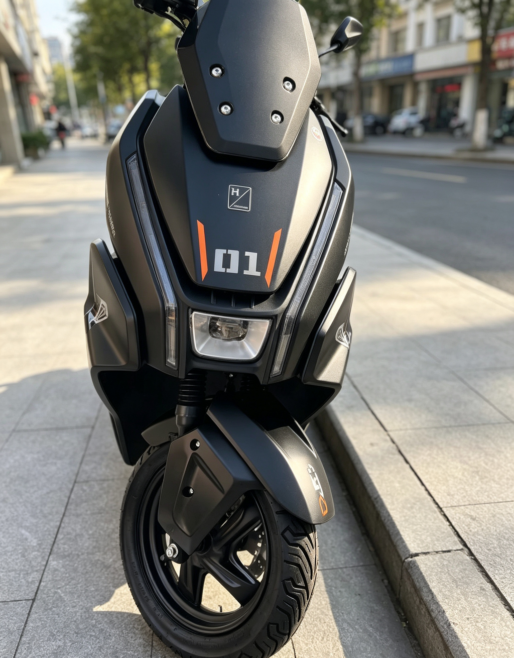 2000W High Speed Electric Scooter Motorcycle | 80km/h Max Speed, Available options. Range, Front & Rear Disc Brakes Adult E-Bike