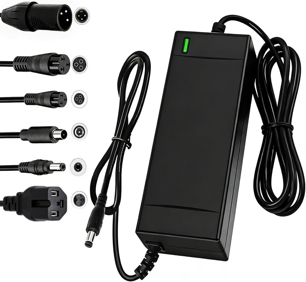 SGS Certified 54.6V 2A Fast Electric Bicycle Charger for 48V Ebike Battery - Fast Charging, Overcharge Protection, Compatible with Ecotric City/Beach, Lectric XP 2.0/3.0, Evercross H5/H7