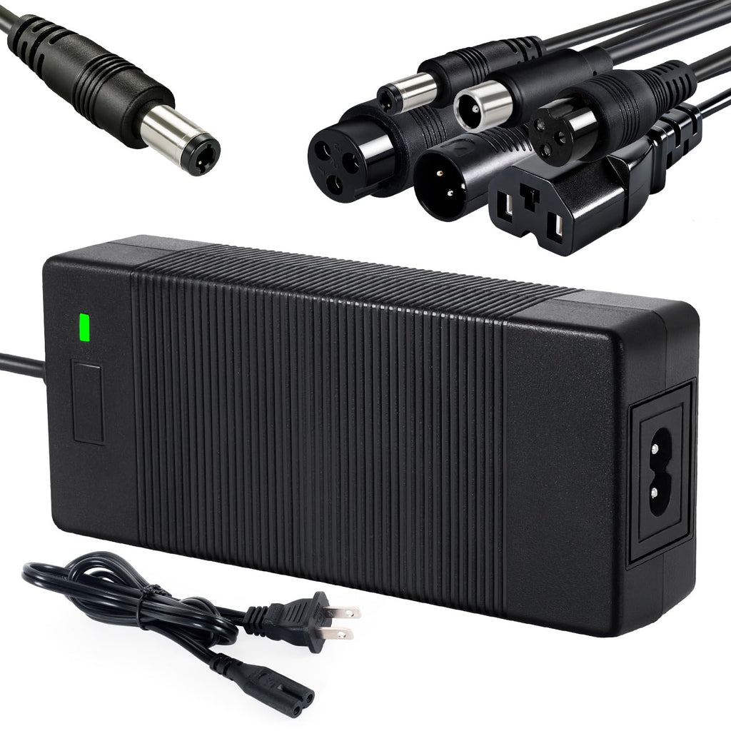 SGS Certified 54.6V 2A Fast Electric Bicycle Charger for 48V Ebike Battery - Fast Charging, Overcharge Protection, Compatible with Ecotric City/Beach, Lectric XP 2.0/3.0, Evercross H5/H7