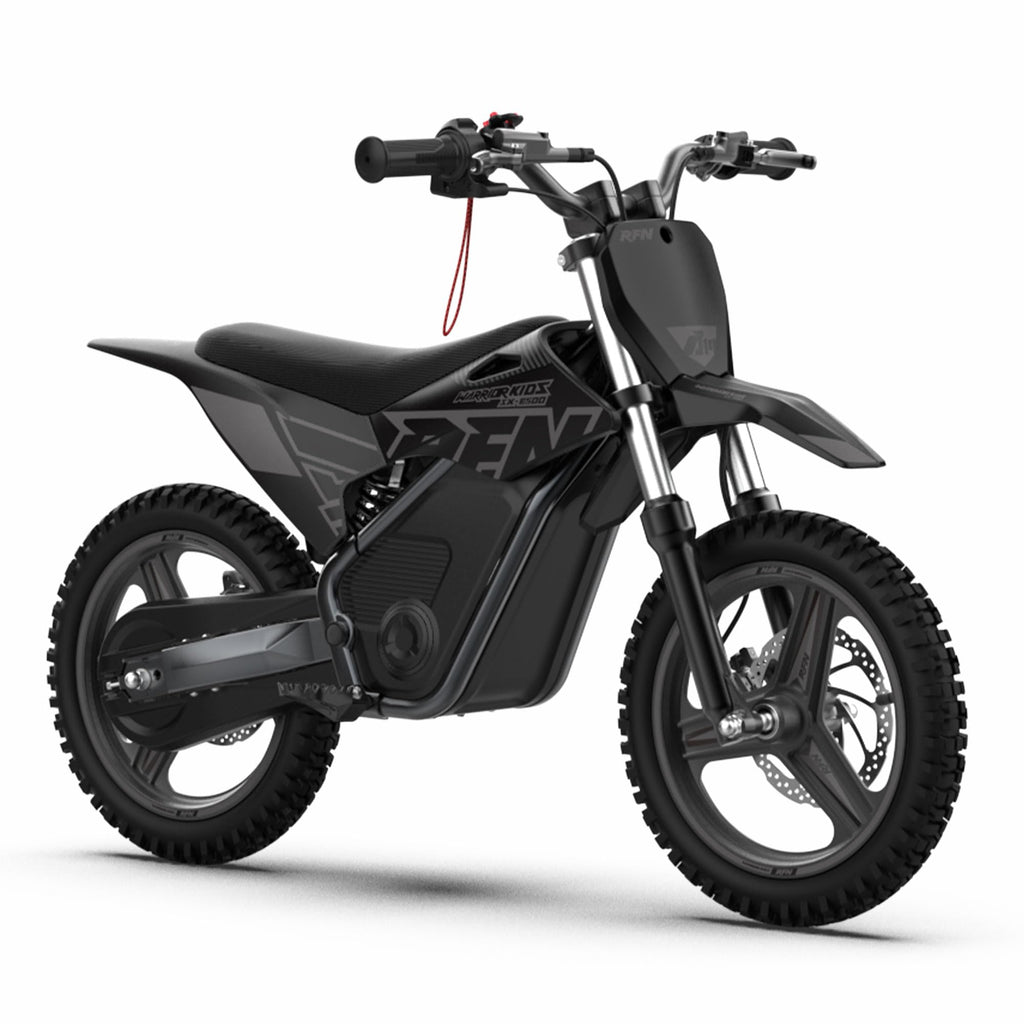 RFN SX-E800 Electric Dirt Bike for Kids Ages 4-8, 900W Peak Brushless Motorcycle, 36V 7.5Ah Removable Lithium Battery, 16" Off Road Tire, 3 Speed Modes Ebike, Up to 21.7 MPH, Advanced Gift