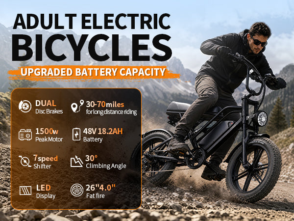 1500W Peak Retro Fat Tire Electric Bike, 48V 20AH Detachable Battery 28MPH Full Suspension E-Bike, 20"×4.0 All Terrain Electric Bicycle with 3 Color Options, Hydraulic Disc Brakes