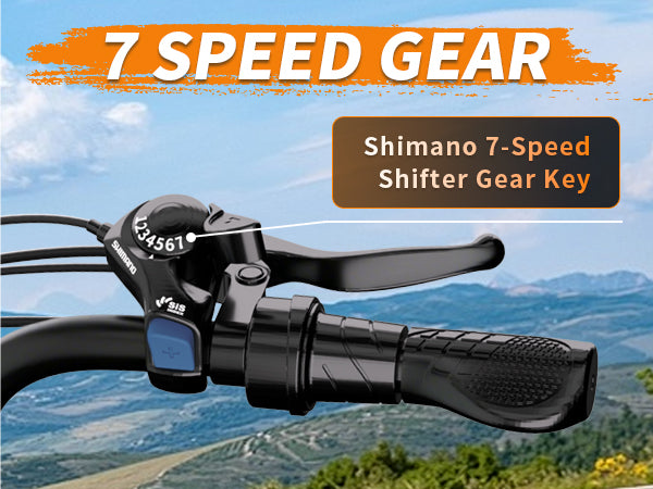 1500W Peak Retro Fat Tire Electric Bike, 48V 20AH Detachable Battery 28MPH Full Suspension E-Bike, 20"×4.0 All Terrain Electric Bicycle with 3 Color Options, Hydraulic Disc Brakes