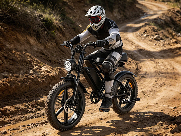 1500W Peak Retro Fat Tire Electric Bike, 48V 20AH Detachable Battery 28MPH Full Suspension E-Bike, 20"×4.0 All Terrain Electric Bicycle with 3 Color Options, Hydraulic Disc Brakes